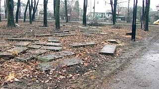 Коломийська громада проти єврейського кладовища у міському парку