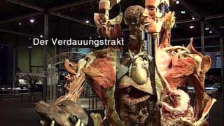 Körperwelten von Prof. Gunther von Hagens
