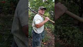 Антошка пойдем копать картошку