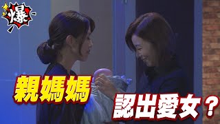 《多情大爆爆》多情城市 EP292 親媽媽 認出愛女？