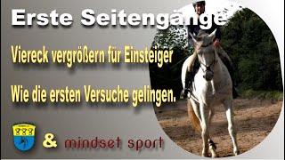 Reiten lernen - Seitengänge für Beginner - Eine Einleitung zur Basis-Hilfengebung