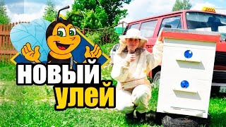 Пчёлы #9. Пересадка пчел в новый улей. Постановка магазина на улей