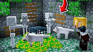MELHOR FARM de XP para INICIANTE!! - Forever Mapa 3 #35