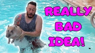 SOMETHING HAPPENED TO BUBBA WHEN SWIMMING - FULL GROWN MINI PIG