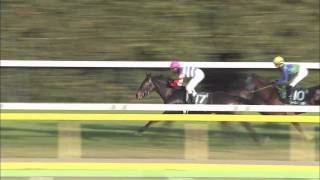 【競馬】2009年 第14回東京スポーツ杯2歳ステークス（GIII）