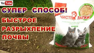 КОШАЧИЙ ДРЕВЕСНЫЙ НАПОЛНИТЕЛЬ-ОТЛИЧНЫЙ РАЗРЫХЛЕНИЕ ДЛЯ ГРЯДОК.НА ТАКОЙ ГРЯДКЕ РАСТЕНИЯ РАСТУТ КАК ..