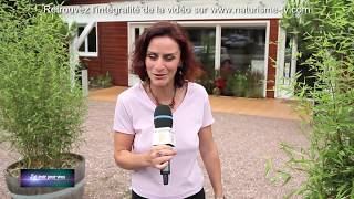 Bande annonce - "J'ai testé pour vous" au domaine naturiste La Jenny sur Naturisme TV  (33)