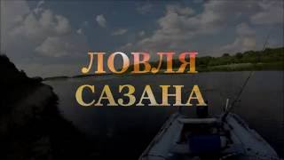 Уловистая и дешёвая снасть! Ловля САЗАНА. Ловля КАРПА. Ловля на жмых. река Ахтуба Харабали