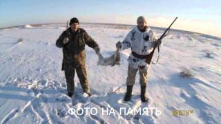 ☝▶Это просто чудо! ОХОТА! Тропим зайца по следам. ЗИМНЯЯ ОХОТА НА ЗАЙЦА ИЖ-12 Hare Hunting