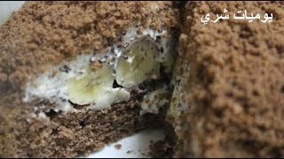يوميات شري طريقة عمل كيك الموز البارد