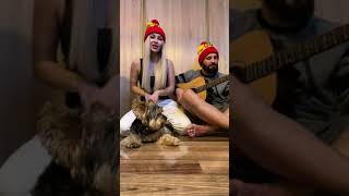 Nocne granie, czyli cover Myslovitz - Alexander