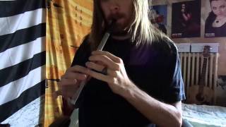 Eluveitie - Andro cover tin whistle (acoustic live in Brazil, 2011)