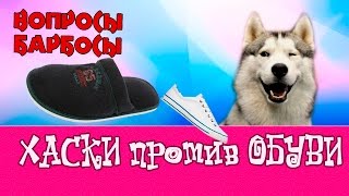 Почему собака таскает вещи хозяина