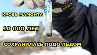 Это Нашли В России | Топ 10 Невероятных Находок