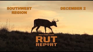 Southwest Rut Report: Most Mature Bucks Are Focusing On Food