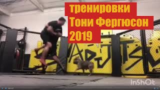 Тренировки Тони Фергюсона Часть 2. 2019 год, подготовка Тони Фергюсон.