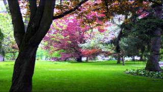 MANTOVANI - GREENSLEEVES