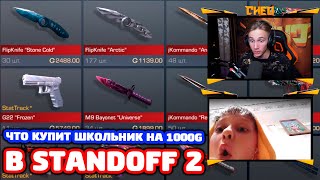 ЧТО КУПИТ ШКОЛЬНИК НА 1000 ГОЛДЫ В STANDOFF 2