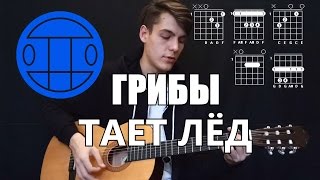Как играть Грибы - Тает Лёд на гитаре (разбор | аккорды)