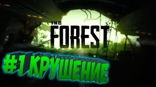 THE FOREST ֍ Прохождение #1 ֍ Крушение