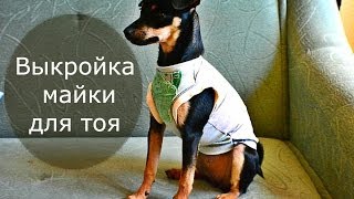 Выкройка майки для русского тоя