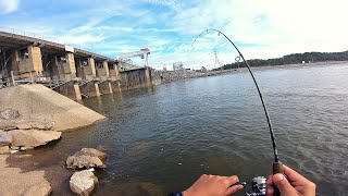 Pesca de Multi-Especies con Equipo de Pesca Spinning Ligero