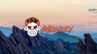Destruktive - Afraid Of The Dark (MELODIC RAW) [MONKEY TEMPO]
