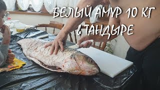 РЫБА в ТАНДЫРЕ I ШАШЛЫК из РЫБЫ