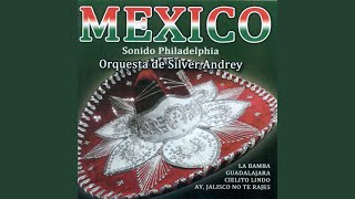 Guadalajara (Popurri) : Guadalajara / Allá en el Rancho Grande / Las Bicicletas / Jarabe Tapatio