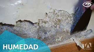 Humedad - Día a Día - Teleamazonas