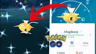 MAGIKARP SHINY - Todo lo que necesitas saber - Pokemon go - Royben