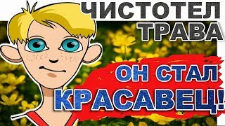 Как стать красавцем навсегда. Топ рецепт - что лечит чистотел за копейки!