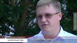 Летний запрет на лов креветок и мидий в Черном море