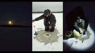 ЭТО ВИДЕО О РЫБАЛКЕ!  Щуки на жерлицы.