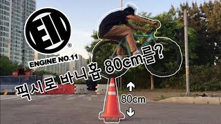 픽시로 꼬깔넘기/픽시 바니홉