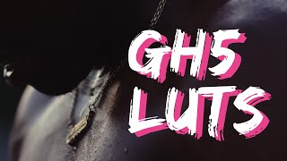 15 Cinematic LUTs for the GH5 VLOG
