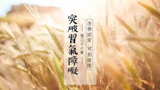 陳靜瑜-念佛回家可別掉隊-突破習氣障礙36