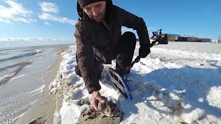 Поиск золота, монет с металлоискателем на пляже. Лазурное 2020. Beach cop with metal detector