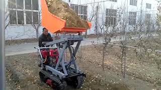 MINI DUMPER WITH HIGH LIFTING QTP500J Dumper Truck