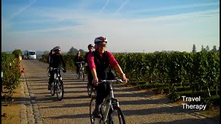 Top 14 Reasons To Visit Bordeaux  France's Aquitaine Region