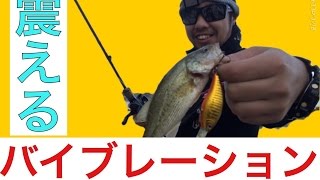 【嫁に秘密の...】　初心者向きおすすめルアー講座　解説あり　バス釣り秋のおかっぱり釣りで実践　後編
