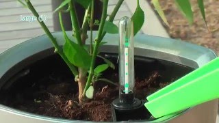 Кашпо с автополивом GreenSun