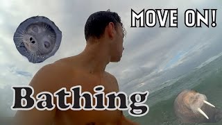 MOVE ON! - Крещенское купание