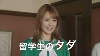 上戸彩 トリンドル玲奈 CM ソフトバンク 白戸家 ハワイからの留学生篇