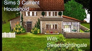 My Current Sims 3 Household, March 1, 2019