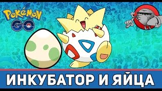 Pokemon Go - Как вырастить покемона из яйца?