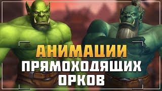 ПРЯМЫЕ ОРКИ, АНИМАЦИИ | WoW: Battle for Azeroth
