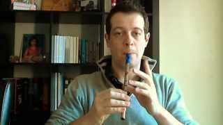 Tin Whistle Comparison (Generation, Susato, Menager, Abell)
