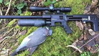 Hunting wood pigeon with fx impact air rifle