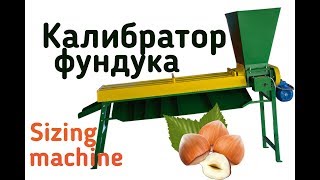 Калибратор для фундука. Сортировка по размеру лесного ореха. Hazelnut sizing.
